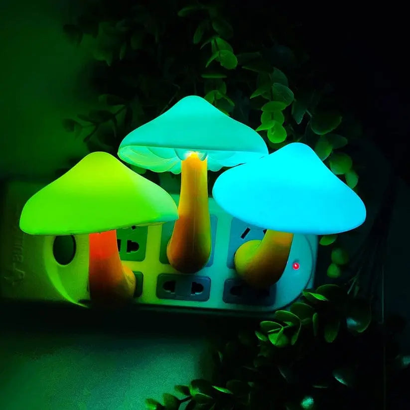 LED Sensor Mushroom Night Light Plug in Lamp Box Pack tech treasure Store